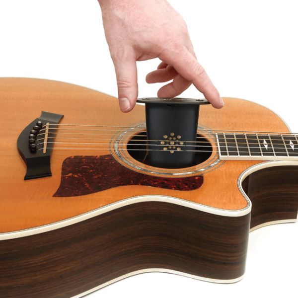 D'Addario Acoustic Guitar Humidifier - Demo