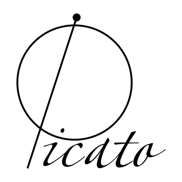 Picato .009 Plain Steel Single Guitar String