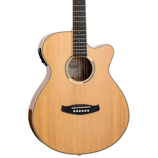 Tanglewood DBT SFCE FMH G Electro-Acoustic Guitar - Body