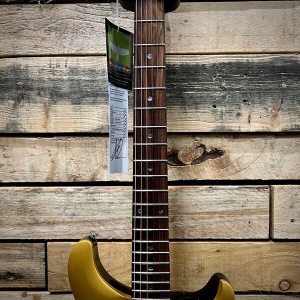 PRS SE DGT David Grissom Signature Electric Guitar - Gold Top - Fretboard