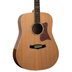Tanglewood TW15 R Sundance Reserve Acoustic Guitar - Body