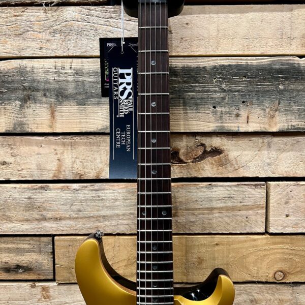 PRS SE DGT David Grissom Signature Electric Guitar - Gold Top (Serial #F095484) - Fretboard