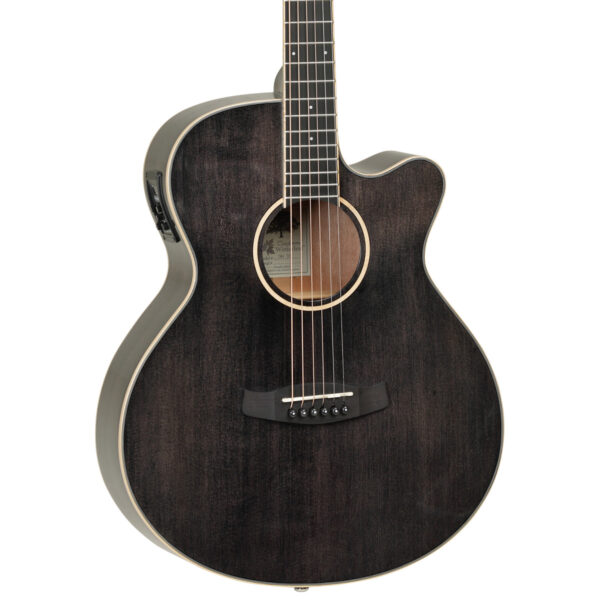 Tanglewood TW4 CE BS Winterleaf Series Cutaway Electro-Acoustic Guitar - Body