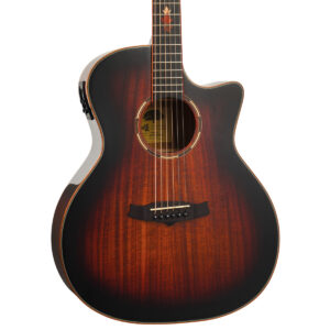 Tanglewood TWX6CEK Winterleaf Exotic Grand Auditorium Electro-Acoustic Guitar - Body