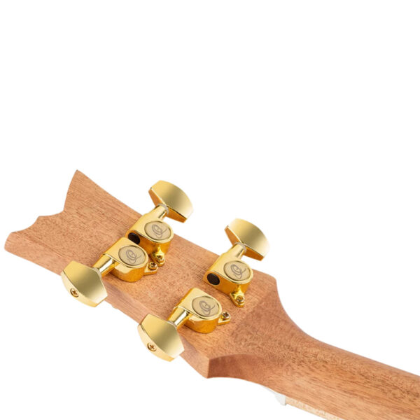 Ortega RUAR-MI Art Series Concert Size Ukulele - Mystic India - Machine Heads