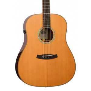 Tanglewood TRS5SE Rosewood Smart Dreadnought Electro-Acoustic Guitar - Body