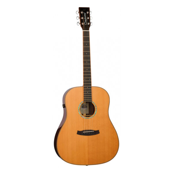 Tanglewood TRS5SE Rosewood Smart Dreadnought Electro-Acoustic Guitar - Front